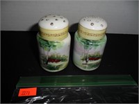 Rare Nippon Salt and Pepper Shakers