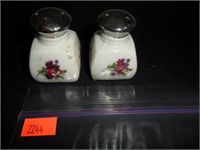 Vintage Flower Scene Salt and Pepper Shakers