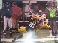 20x16 Green Bay Packers Photo
