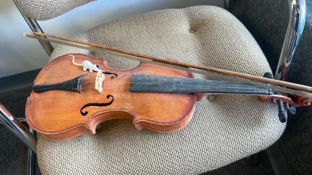 Violin With Mouse Making A Home