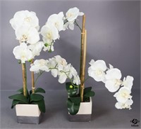 Artificial Orchids In Decorative Containers / 2Pc