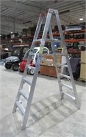 Werner 6' Platform Step Ladder-