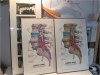 VARIOUS DOCTORS OFFICE FRAMED  POSTERS