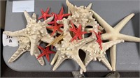 Starfish collection