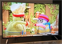 B - VIZIO 50" TV (M20)