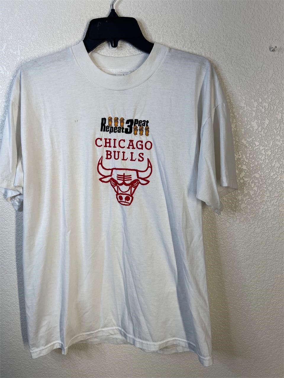 Vintgae Embroidered Chicago Bulls Champs Shirt