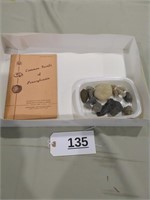 Fossils and Fossil Book