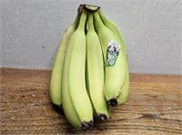 GREEN Banana Bunch