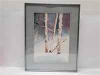 Framed Picture of  Birch Trees by M. Lawrance