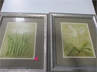 Pair Framed Pictures - Flowers