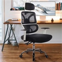 Ergonomic Desk Chair  Adjustable  High Back