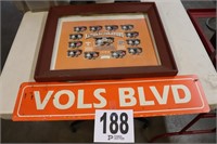 Plastic Vols Sign & Framed Decor(Shop)