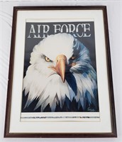 Air Force Eagle Framed Poster
