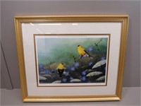 Framed limited edition print, “Goldfinch &