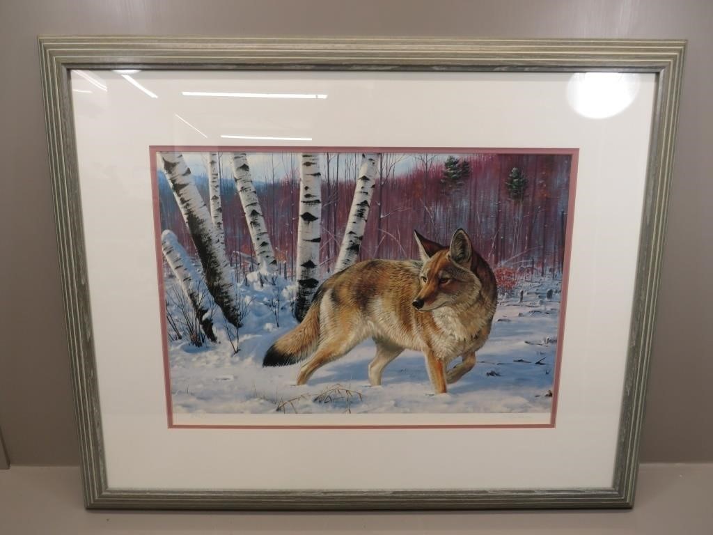 Framed limited edition print of the “Coyote” by