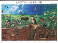 Great Plains Prairie Stamp Sheet