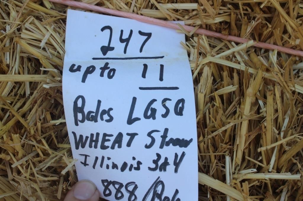 Hay, Bedding & Firewood Auction#26 (6/26/2024)