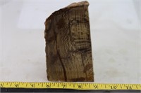 Sycamore Petrified Wood