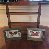 Butterfly Decor & More