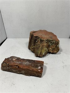 Two pc of Petrified Wood