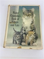 Walter Chandoha's Book of Kitten and Cats