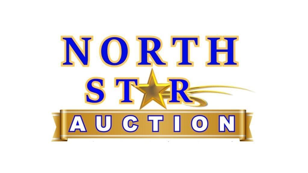 NORTH STAR  ELECTRONICS AND OVERSTOCK AUCTION  (4)