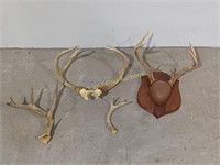 2 Sets of Antlers & 2 Loose Antlers