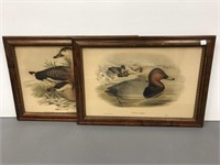 Pair early colorful framed lithographs