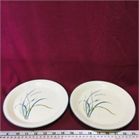 Pair Of Corelle Plates (Vintage)