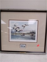 Ducks Unlimited canvas backs framed artwork