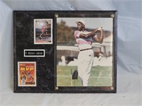 Michael Jordan NBA & Golf Sports Plaque