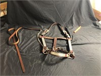 Leather Halter with Silver Decoration