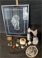 Droguett Kitten Reflection Framed Print
