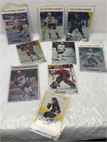 NHL Hockey collectable magnets