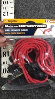 tarp/canopy cords