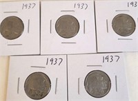 5 - 1937 Buffalo Head Nickels