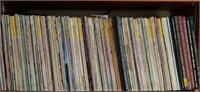 Entire Shelf of Very Well Kept 12in Records