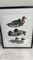 Mississippi Flyaway Decoy Poster Paul Bridgford