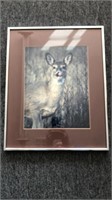Deer Picture 16x20