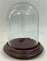 DESIRABLE GLASS DOME DISPLAY W WOODEN STAND