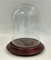 DESIRABLE GLASS DOME DISPLAY W WOODEN STAND