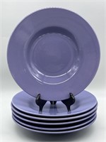 (6) 9 Inch Dinner Plates by Garcia