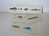 COLLECTION OF VINTAGE FISH CARDS