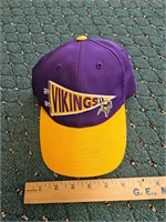 Minnesota Vikings Hat