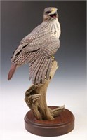 CONNIE TVETEN (B.1945) CARVED RED-TAILED HAWK, 24"