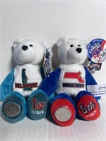 50 States of America Coin Bears