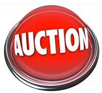 AUCTION INFO