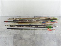 Lot of 17 Assorted Arrows