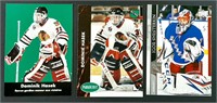 Cartes ROOKIE Dominic Hasek et Igor Shesterkin *