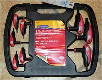 [CH] Napa SAE Hex Key Set